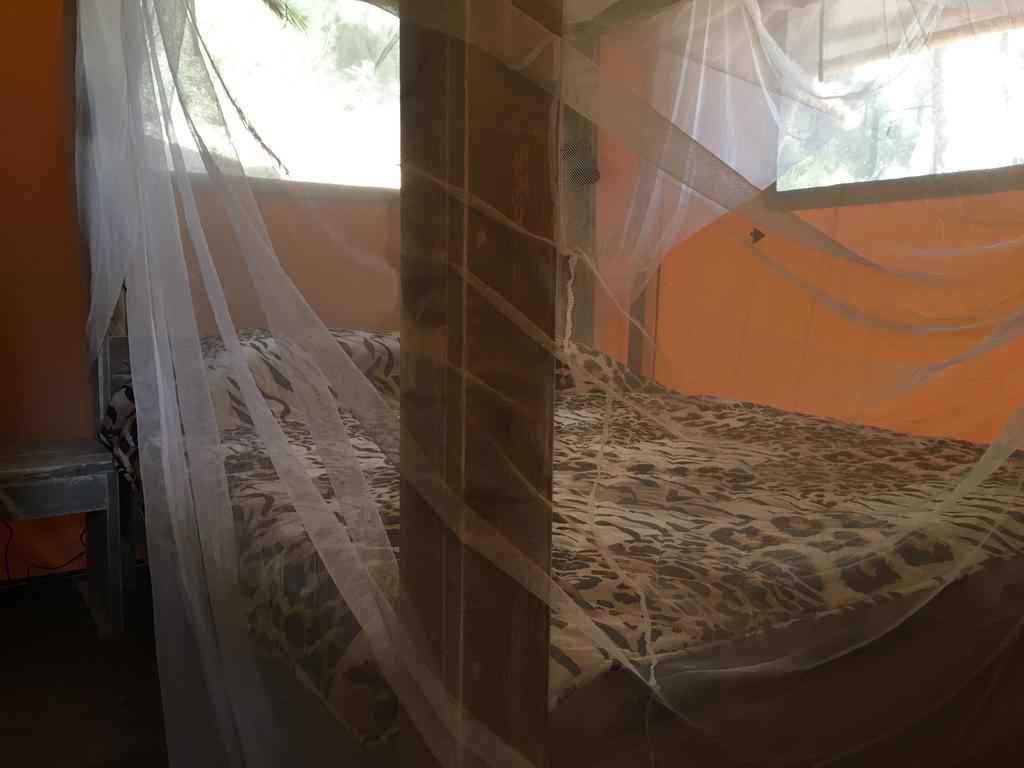 Glamping Lodge Estartit أولاستارتيت المظهر الخارجي الصورة